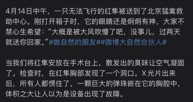 1只就判！北京一学校发现1只受伤，体内有颗巨大泥丸，没救过来