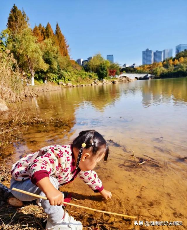30分钟登顶！长沙私藏小众徒步路线，一站解锁遛娃顶“尖”玩法