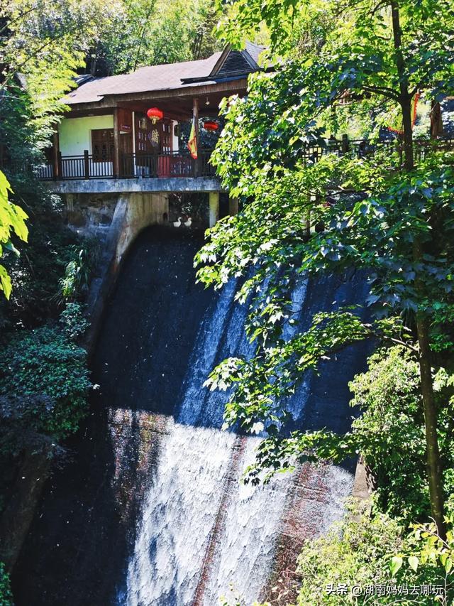 告别36℃热浪！长沙“小荔波”藏着28℃清凉，带娃溯溪玩不停！