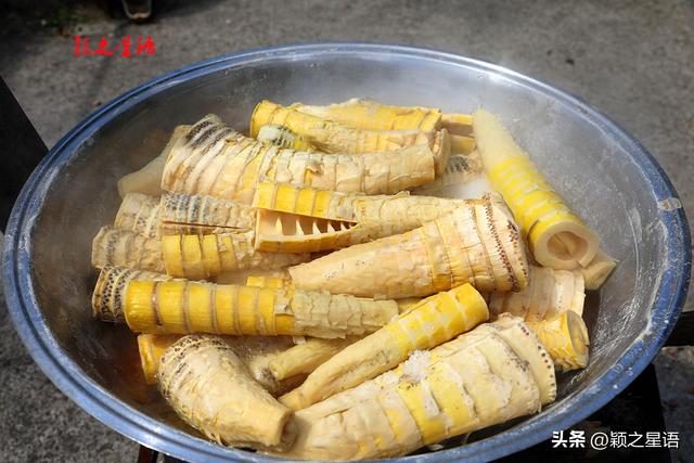 宁波市海曙区最偏远的村庄，秘境风光，游人少至