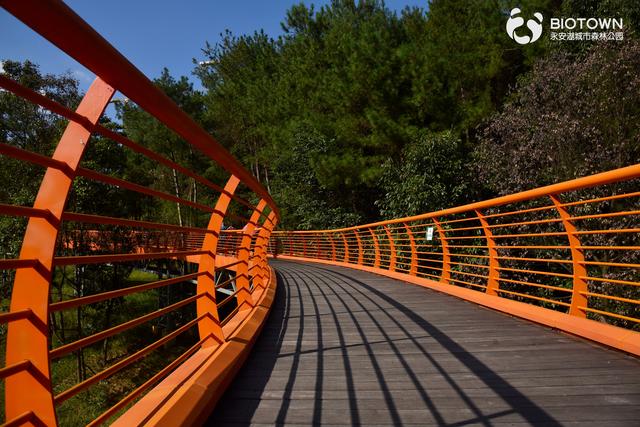 四川省双流区历史沿革及行政区划