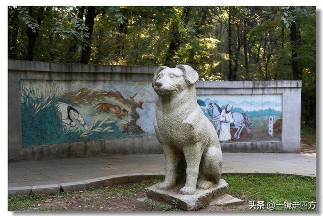 沈阳东陵郊野公园“精灵”出没