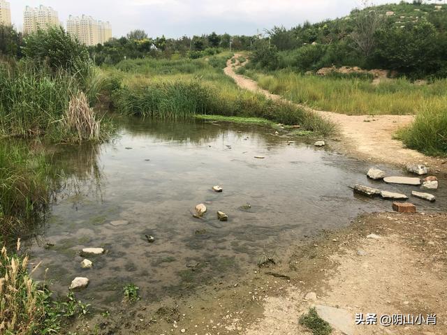 行摄包头市东河区转龙藏龙泉寺