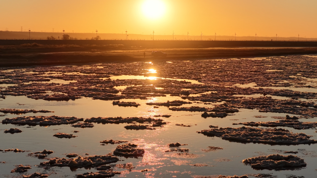 冬日奇观！落日流凌为黄河披上幻彩霓裳