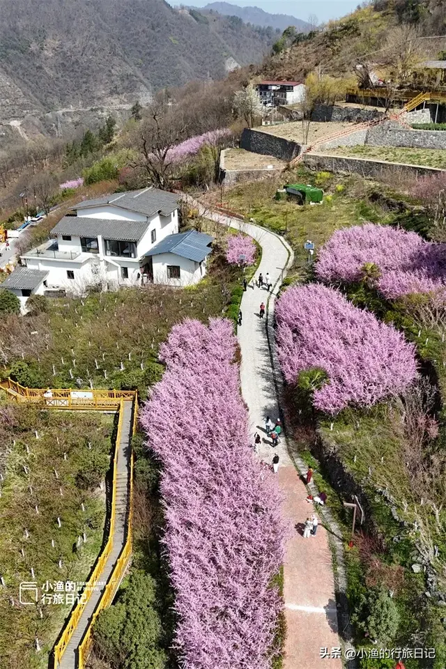 不愧是西安周边最美秦岭自驾线！眼下又美出新高度，过年去浪刚好