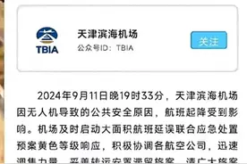 突发！天津大面积航班延误，飞机盘旋13圈落大兴，官方：因无人机图片