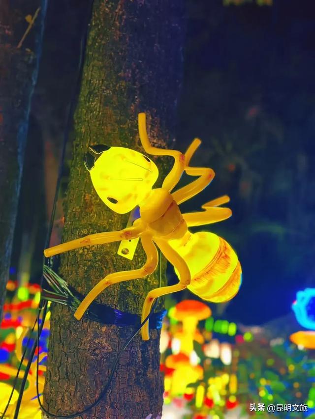 世博园大型灯展!最新剧透来啦