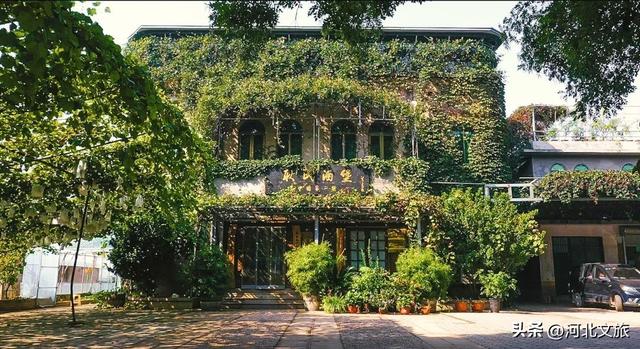 邂逅河北百年葡萄树，逛酒庄、品红酒、宿葡园，开启“藤”下慢时光！
