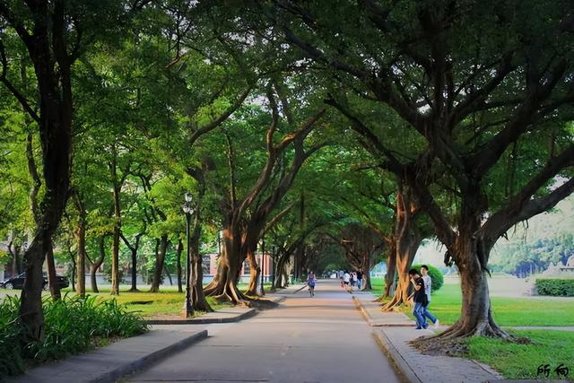 又来广东之二十一 广州篇之九 中山大学本部（康乐园） （1）