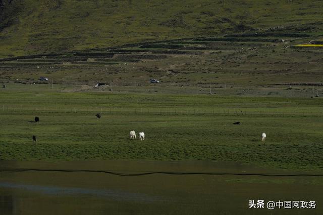 镜观西藏：“打卡”羊卓雍措将有新路线