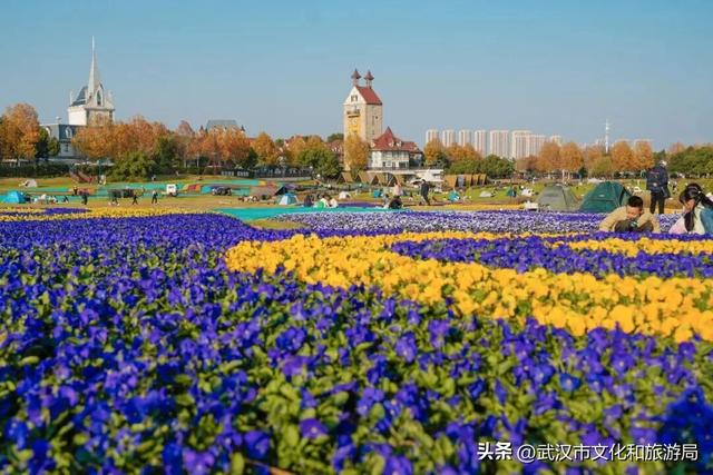 速看！蔡甸元旦跨年活动来了，迎接2026！