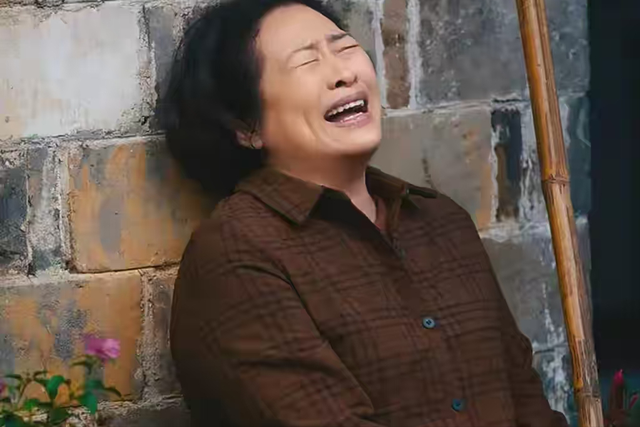 蒋欣新剧《四喜》开播！首播4集看完，我要说：央视这回押对宝了