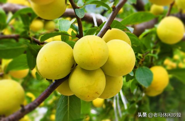 我带着相机，在耿达避暑