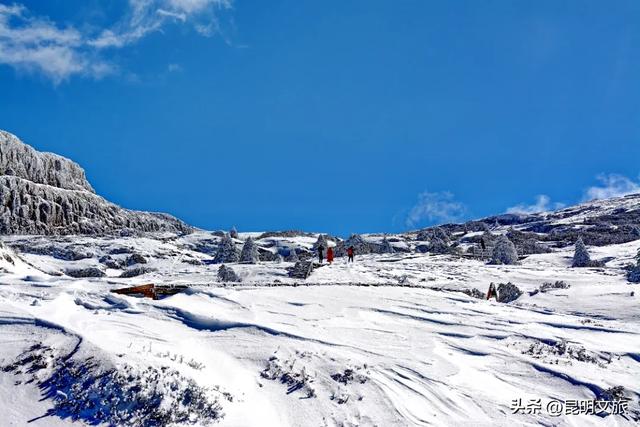 明天启幕!今年冬天“配享太庙”的玩雪好去处,在轿子山觉醒了!