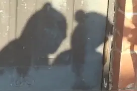 治愈！双胞胎和影子互动纯粹美好图片