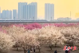 看，开往春天的列车图片