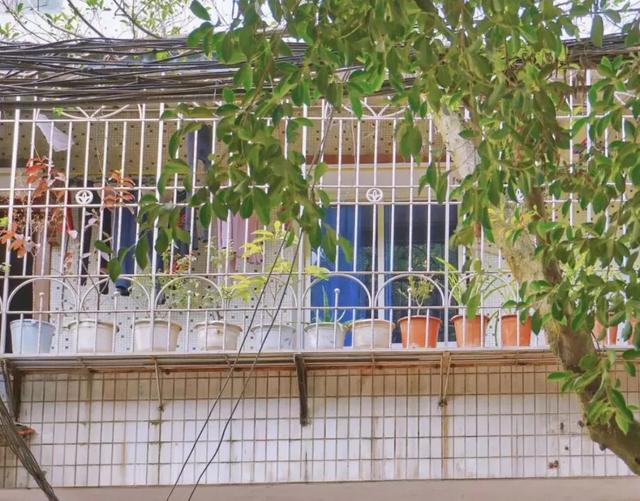 地名里的重庆 | 大渡口建胜镇，一个以“胜”为名的镇