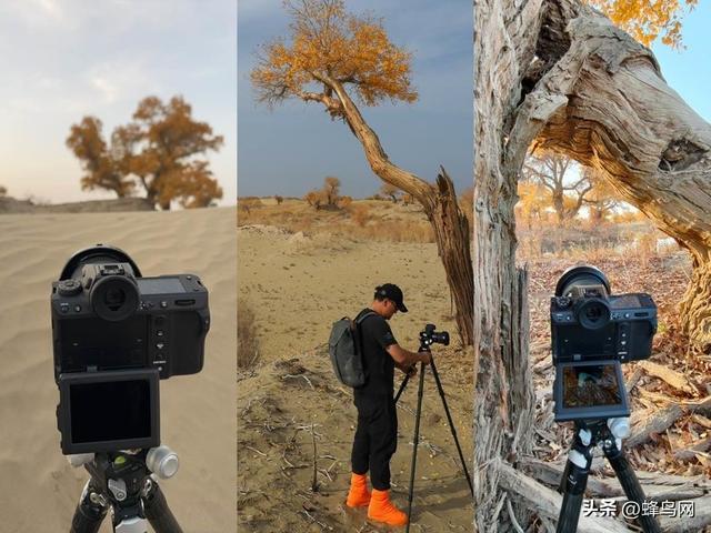 南疆寻秋--富士GFX100 II刻画南疆的雪山、沙漠与胡杨