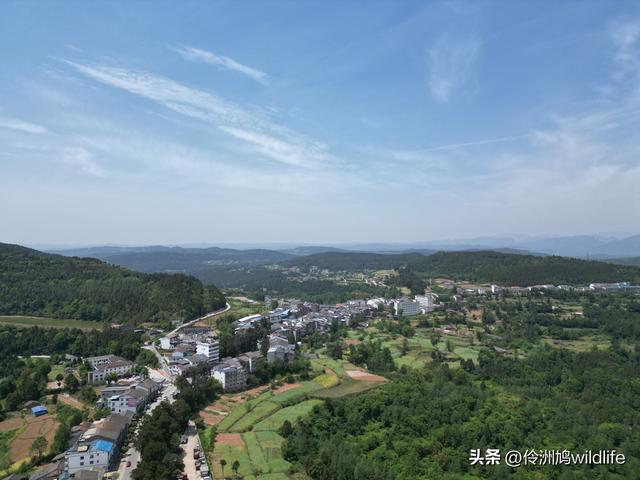 四川行(68)古蜀道——金牛道60公里徒步⑤普安到翠云廊沿途航拍