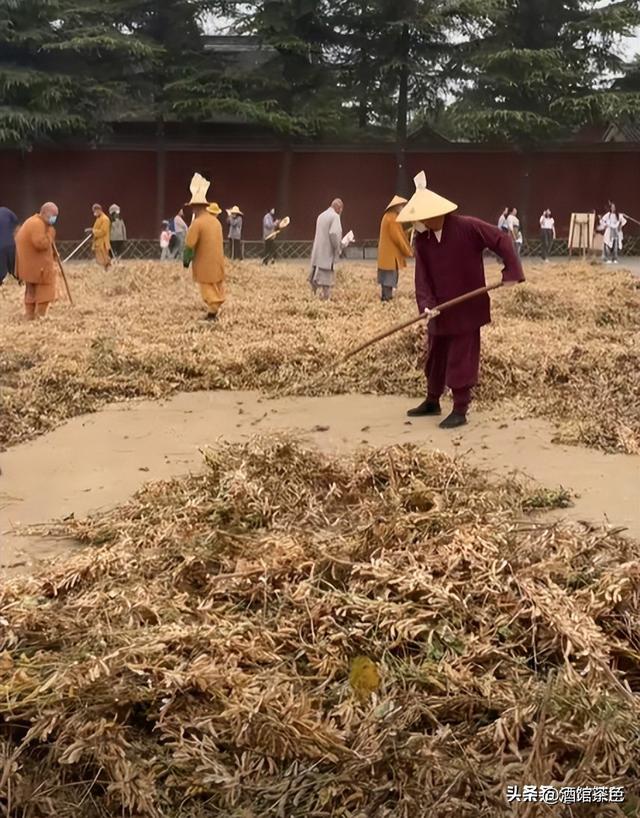 少林寺官宣新住持不到2天，恶心一幕出现，遭网友质疑，理由一致