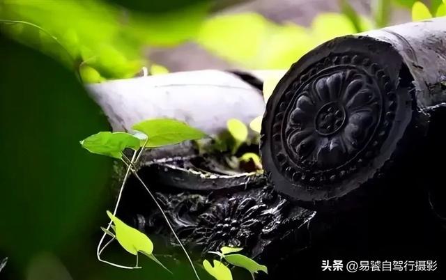 震撼!故宫瓦当,紫禁城守望者;中式美学老屋瓦当 只有中国人才懂