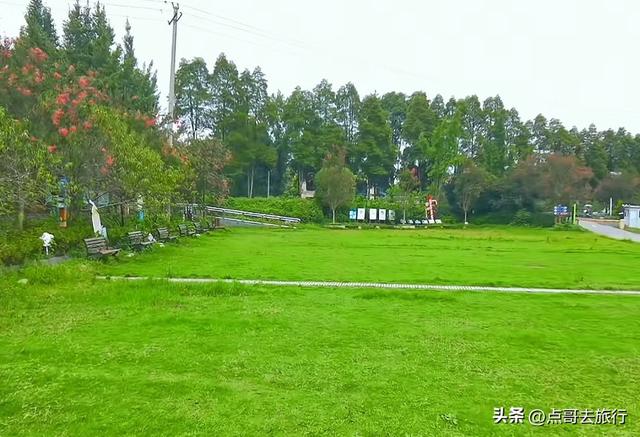 成都冷门紫薇花公园，满园紫粉超美，不要门票，公交车直达！