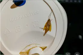 瑞幸咖啡被曝喝出蟑螂图片
