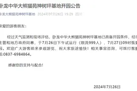 卧龙中华大熊猫苑神树坪基地7月27日恢复开园图片