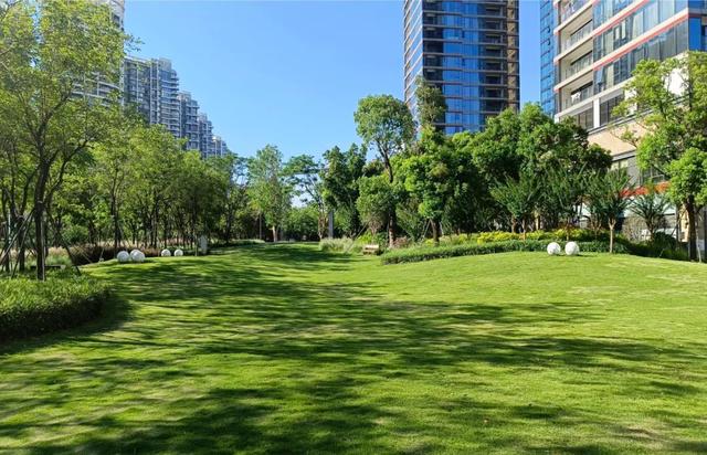 下一个“南宁”已确定？桂林、玉林落榜，这座黑马城市呼声高！