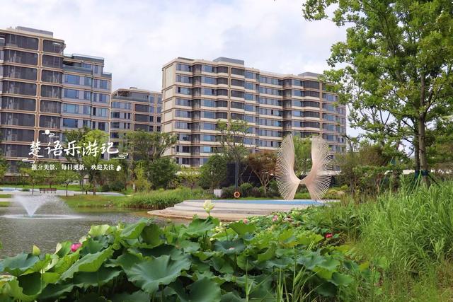 浙江宁波的新兴游玩地，多个公园相邻而居，多个荷花池美不胜收