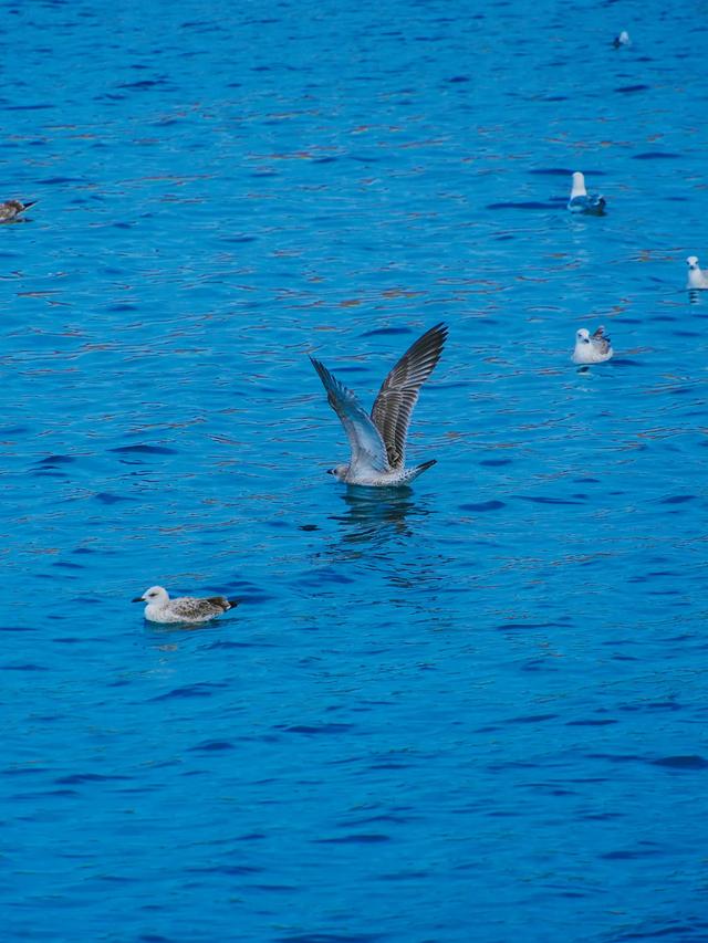 人类为何迷恋万物 ​