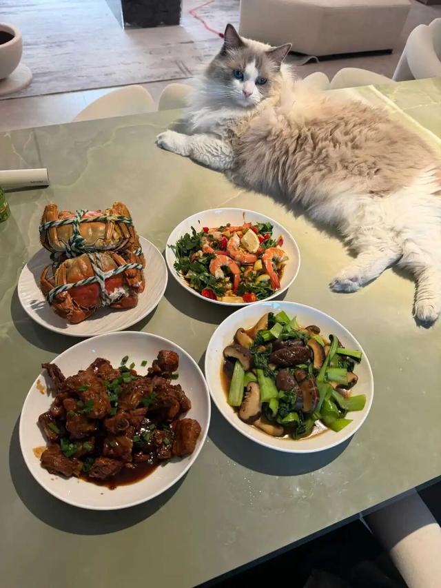 找到「下一个赚钱风口」的人