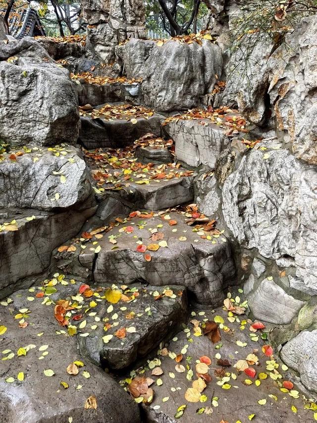 我捡，我捡，我在潍坊捡捡捡！