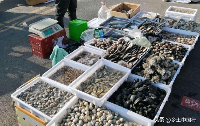 走遍中国·河北·承德·鹰手营子矿区