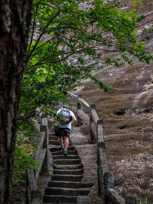 重阳、秋假去哪里？武夷登高待君来！