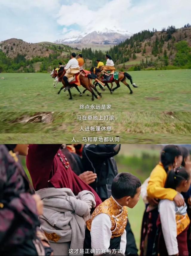 90%人没听过的香巴拉秘境，是最爱猫的咪咪痛城