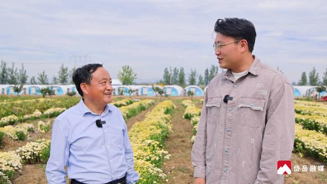 文化中国行丨寒露时节探访范镇：菊花绽放韵味悠长