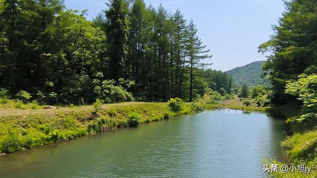 两次本溪南岭徒步记｜高山草甸，湖池松林，我被南岭种草