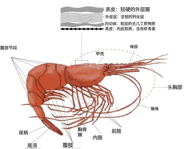 资源战正式打响！中国突破即捕即加工技术，成功解决卡脖子难题