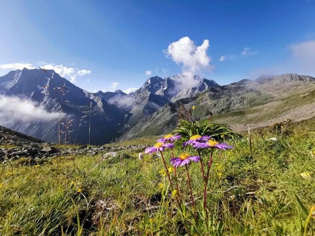森林徒步、雪山攀登、星空露营！藏在黑水的避暑秘境，就在……