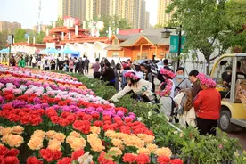 “中国牡丹之都”竟然是菏泽，原以为是洛阳，这到底是怎么回事？图片