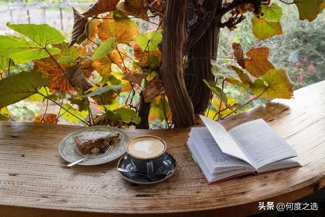 2026苏格兰：整装待发，即刻闪耀