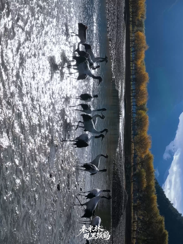 这个冬天，一定要来西藏看……