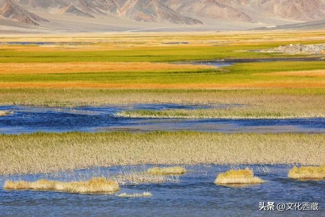 离谱又有趣的玩法！去西藏阿里一定要试！“荒野茶席”煮茶看星空