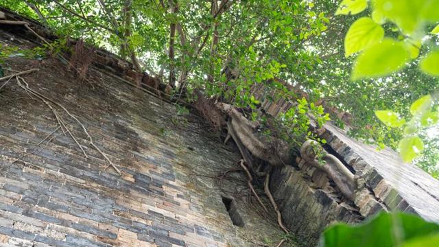 探秘温贯炮楼：深藏于高要乡间的古代军事堡垒