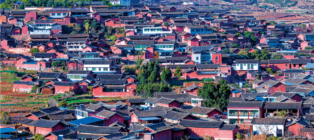 四川省仁和区历史沿革及行政区划