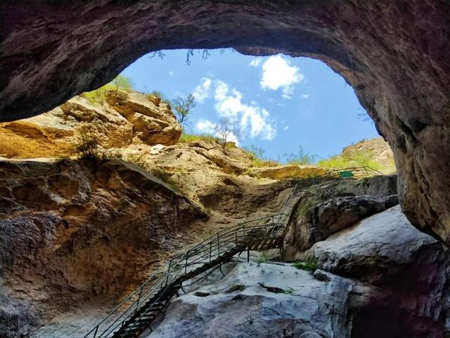 塞上江南 颐养宁夏丨中卫篇：品味杞乡风情，体验沙水相依的颐养之旅