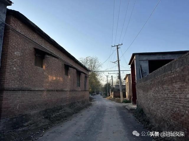 冠县乡韵·贾镇荆楼村