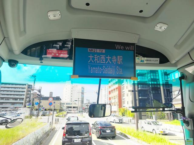 因为鹿，我爱上了奈良