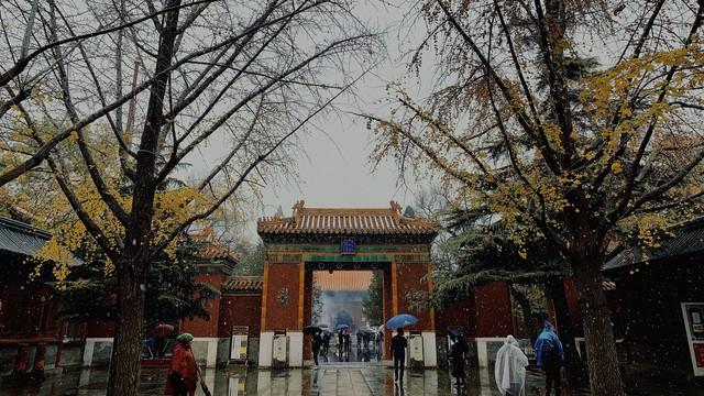 北京初雪：银装素裹中的城市记忆